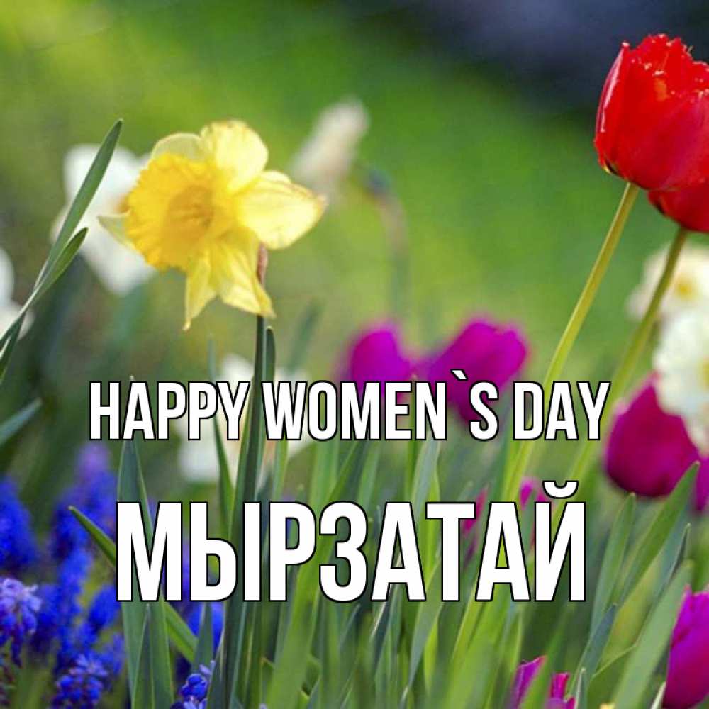 Greetings card с именем, Мырзатай happy women`s day международный женский день 3 Greetings with text for free download 